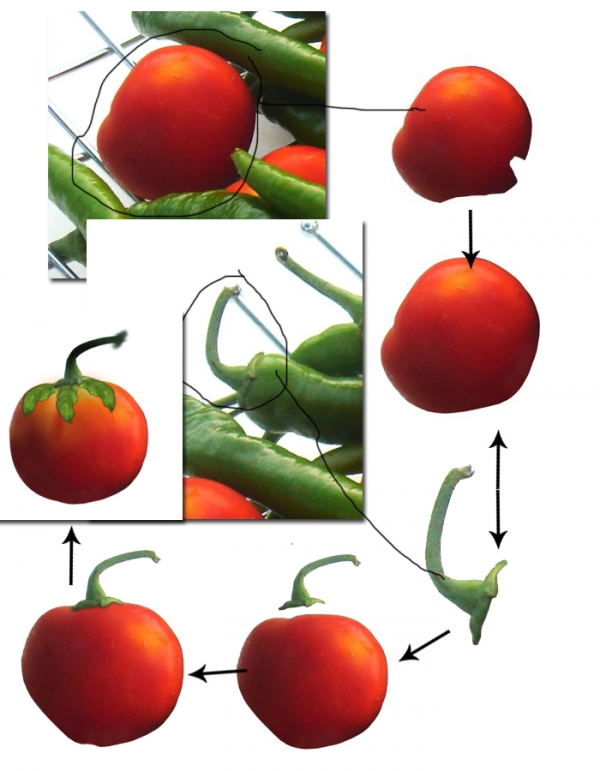 Creation of Life Fruit: Step 7